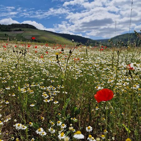 Das Rote Ferienhaus Terlinden Lieser Exteriér fotografie