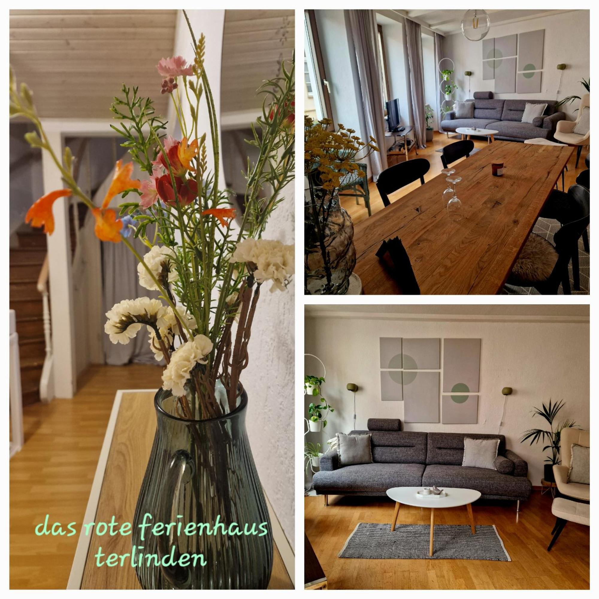 Das Rote Ferienhaus Terlinden Lieser Exteriér fotografie